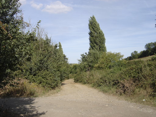 Workhouse Lane Murders